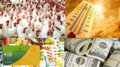 تحويل الدعم للعيني إلى نقدي وتأثيره المفاجئ على الذهب والدولار والطقس