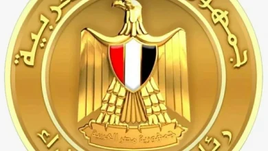 تعطل نظام معاشات 2026 في مصر يتصاعد والحكومة تكشف موعد الحل