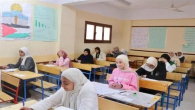 رابط وخطوات الحصول على أرقام جلوس الدبلومات الفنية 2026 بالتفصيل لطلاب التعليم الفني