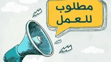 رواتب تصل لـ 12 ألف جنيه وظائف جديدة من الوزارة طرح 1872 فرصة عمل بمزايا تنافسية في مصر