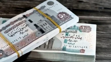 زيادة المعاشات 15 بالمئة في يوليو 2026 حساب قيمة معاشك الجديدة وأثرها على المستفيدين