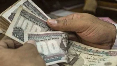 زيادة المعاشات 2026 موعد تطبيق النسبة الجديدة والصرف لجميع الفئات والتفاصيل المهمة للمستفيدين