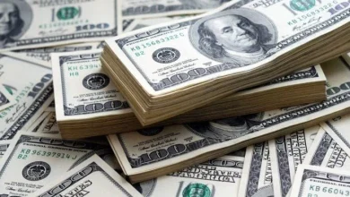 سعر الدولار اليوم مقابل الجنيه المصري في البنوك العملة الأمريكية الآن وتحركات السوق المالية