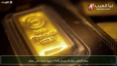 سعر جرام الذهب عيار 24 يرتفع إلى 7126 جنيها في مصر