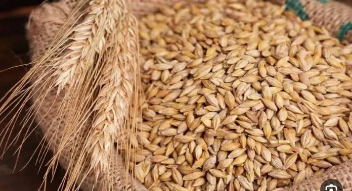 سعر طن الأرز الشعير اليوم الاثنين 8 يونيو 2026 وأحدث التغيرات في الأسواق المحلية