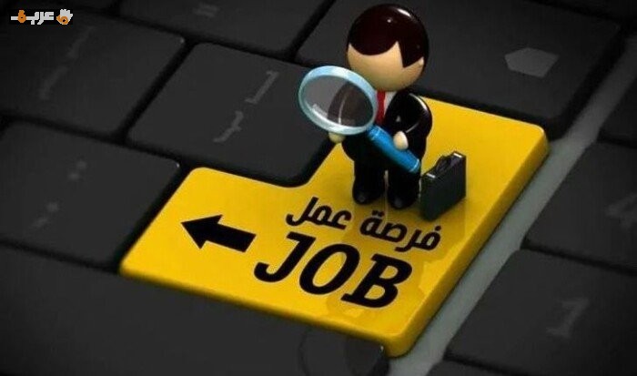 فرص عمل براتب 12500 جنيه في الجيزة التخصصات والشروط وطريقة التقديم بالتفصيل