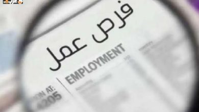 فرص عمل جديدة للمهندسين في 6 أكتوبر تعرف على الشروط والمرتبات وطريقة التقديم