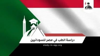 لماذا أصبحت مصر الخيار الأول للطلاب السودانيين في الدراسة والإقامة بجانب فرص التعليم المتنوعة