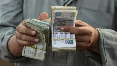 مواعيد صرف معاش تكافل وكرامة لشهر يونيو 2026 جميع التفاصيل الرسمية والتوقيتات الدقيقة