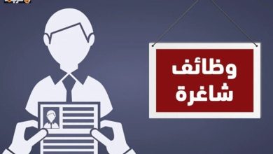 وزارة العمل تعلن توفير 200 وظيفة جديدة برواتب 12500 جنيه ضمن خطة تعزيز فرص العمل في مصر