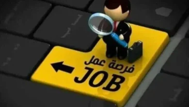 3068 فرصة عمل جديدة متاحة في 12 محافظة مع الشروط والأوراق المطلوبة وآخر موعد للتقديم