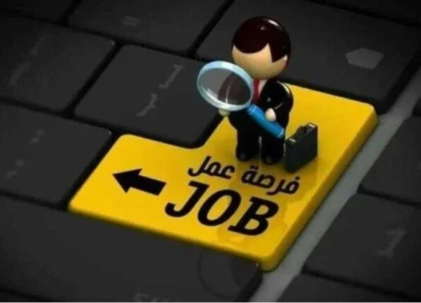 3068 فرصة عمل جديدة متاحة في 12 محافظة مع الشروط والأوراق المطلوبة وآخر موعد للتقديم