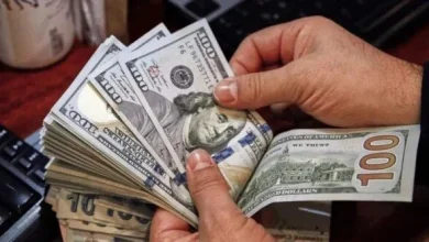 استقرار سعر الدولار اليوم الجمعة 3 يوليو 2026 الأخضر بكام الآن وتوقعات السوق المالي اليومية