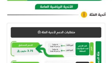 النصر يتصدر قائمة أفضل الفئات في تقييم مبادرة الحوكمة