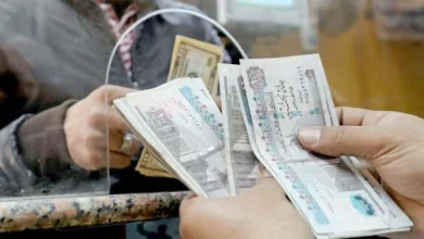 بعد إجازة ثورة 30 يونيو متى تفتح البنوك أبوابها أمام العملاء مجددًا في مصر