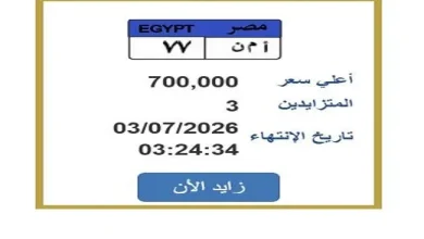 سعر لوحة سيارة مميزة وصل 700 ألف جنيه وخطوات التزايد عليها تتصدر السوق
