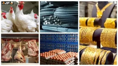 أسعار الجبن والزيت ترتفع والذهب يعود للاستقرار في آخر تحديث 29-8-2026