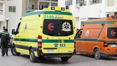 محاولة إنقاذ زميلته في بيارة مخلل تحولت لمأساة قتلتهما في المنيا