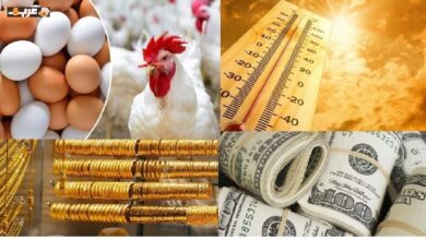 مفاجآت في أسعار الذهب والدولار والدواجن والكتب المدرسية وحالة الطقس اليوم