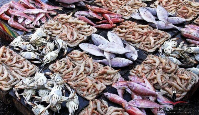 أسعار السمك والجمبري اليوم الأربعاء 7 أكتوبر وتحديثات سوق الأسماك الطازجة وأفضل العروض المتاحة