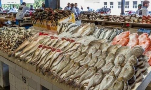 أسعار السمك والجمبري اليوم الاثنين 12 أكتوبر 2026 البلطي والاستاكوزا وأحدث سعر السوق في مصر