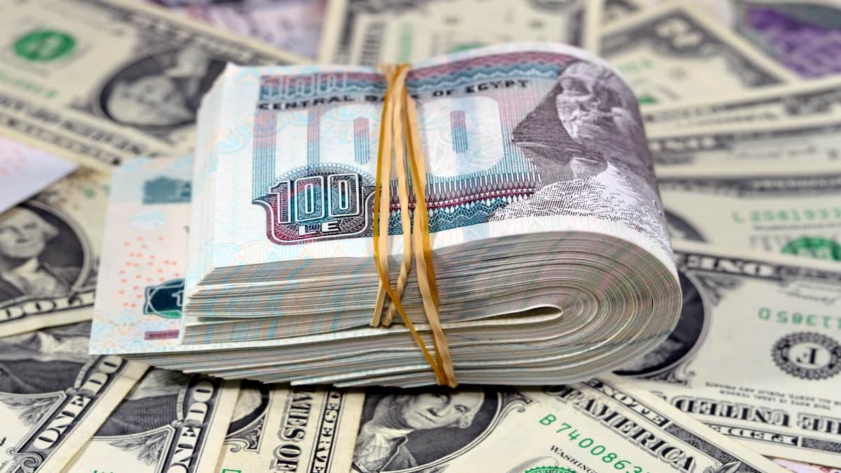 سعر الدولار امام الجنيه اليوم 3 اكتوبر