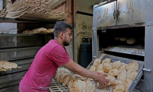 سعر رغيف الخبز السياحي والفينو اليوم الثلاثاء 6 أكتوبر 2026 وتغيراته وتأثيرها على السوق المحلي