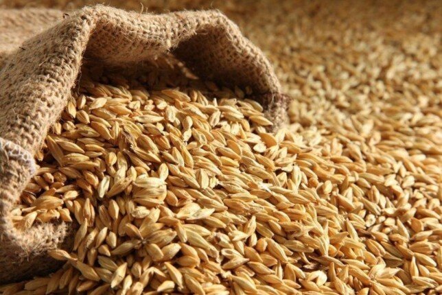 سعر طن الأرز الشعير والأبيض اليوم في الأسواق بكام النهاردة مع تحديث الأسعار فوراً