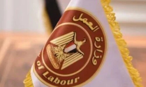 قطاع صناعة الحلوى يعلن توفير 150 فرصة عمل برواتب تصل إلى 13 ألف جنيه ضمن فرص توظيف مميزة