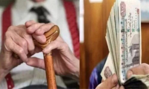 ماذا يحدث للمعاش الإضافي بعد وفاة المؤمن عليه وقانون التأمينات يحدد المستحقين الشرعيين للمعاش