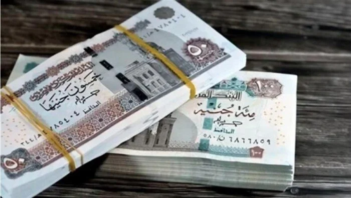 هل يجوز للأرمل الجمع بين معاش زوجته المتوفاة ودخله وفق قانون التأمينات الاجتماعية