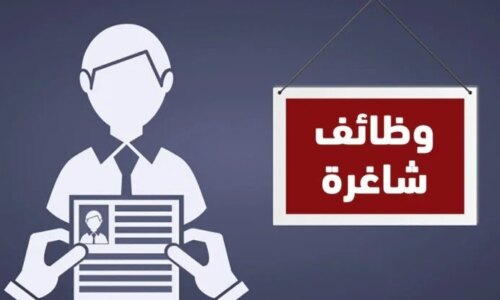 وزارة العمل توفر وظائف بالقاهرة برواتب تصل إلى 25 ألف جنيه فرص عمل مميزة برواتب مغرية