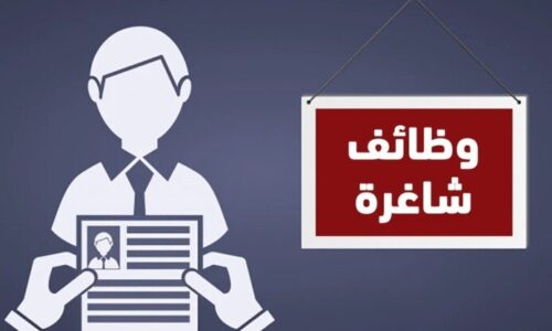 وزارة النقل تعلن وظائف خالية للمتقدمين حتى سن 50 عامًا مع شروط ومواقع التقديم الرسمية
