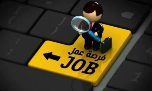 وظائف شاغرة في 3 شركات مع التخصصات المطلوبة وشروط التقديم للمهتمين بالفرص المهنية